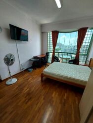 The Sunny Spring (D14), Apartment #502745921